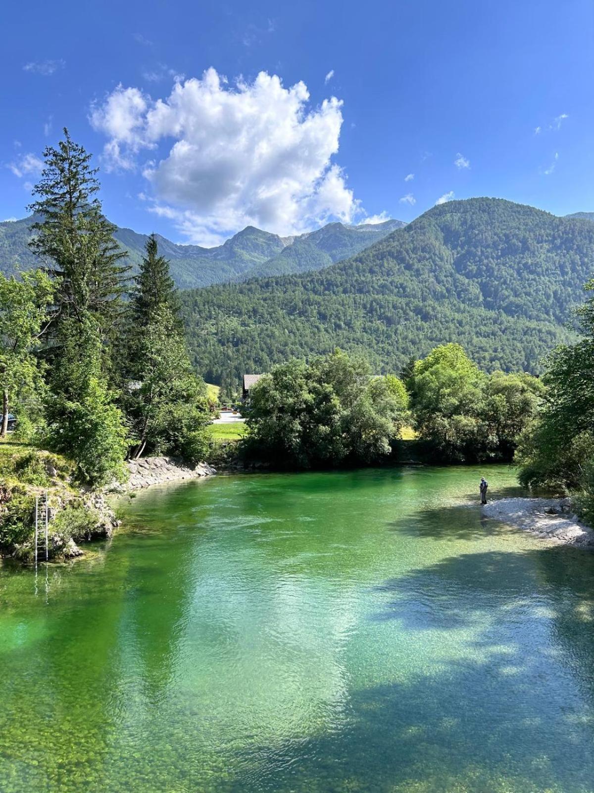 Vila Nina Bohinj Eksteriør bilde